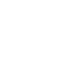 Custom Cursor Image